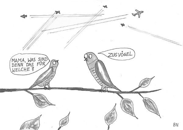 Zugvögel Zugvögel